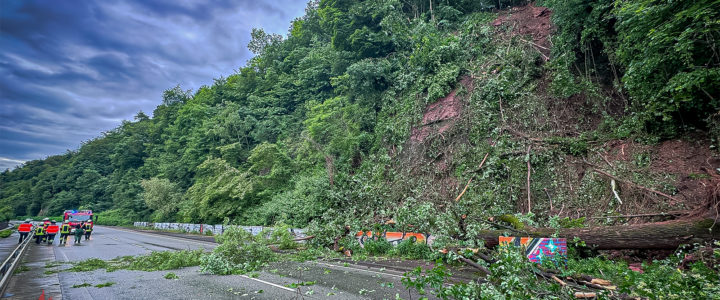 TH – Mehrere Bäume auf Fahrbahn